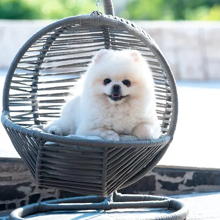 Sea View Hills Otel *