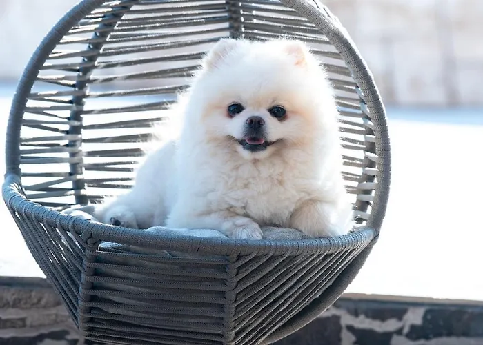 Sea View Hills מלון *